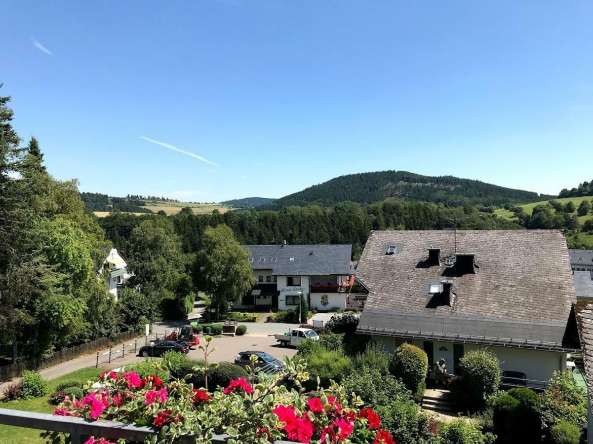 Hotelpension Schroeder ヴィリンゲン エクステリア 写真